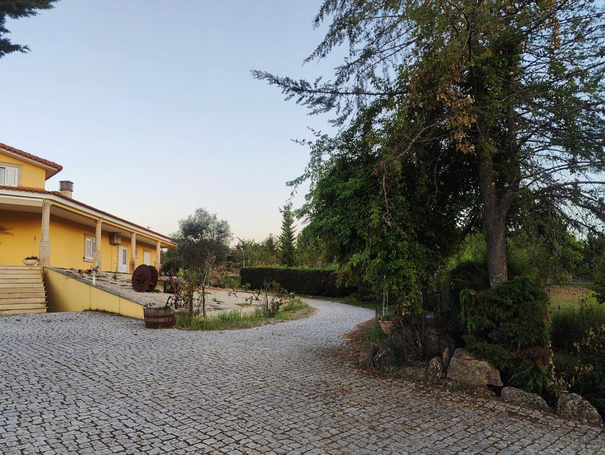 Quinta Da Libelinha Alojamento Local - Mirandela Eksteriør billede