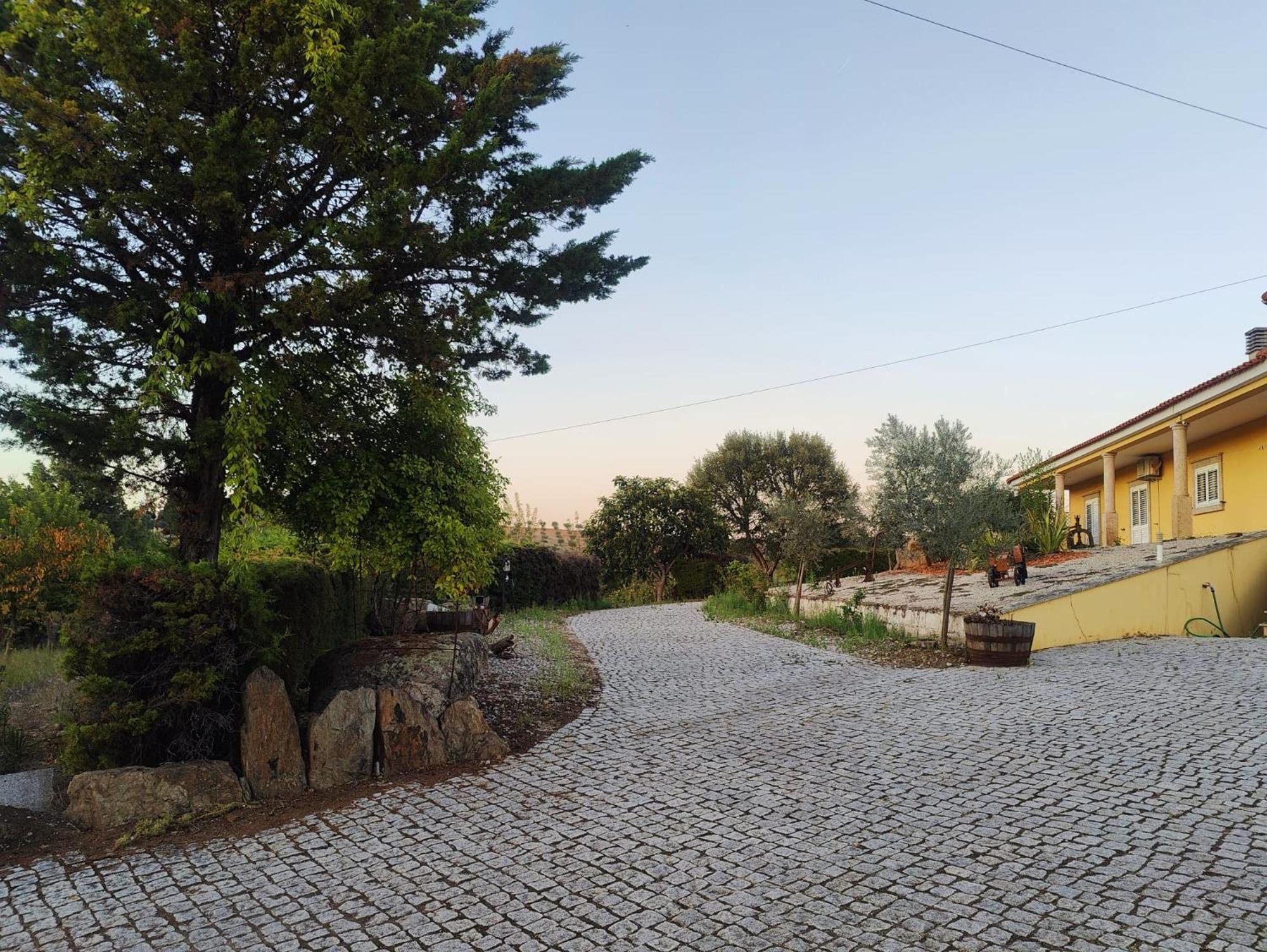 Quinta Da Libelinha Alojamento Local - Mirandela Eksteriør billede