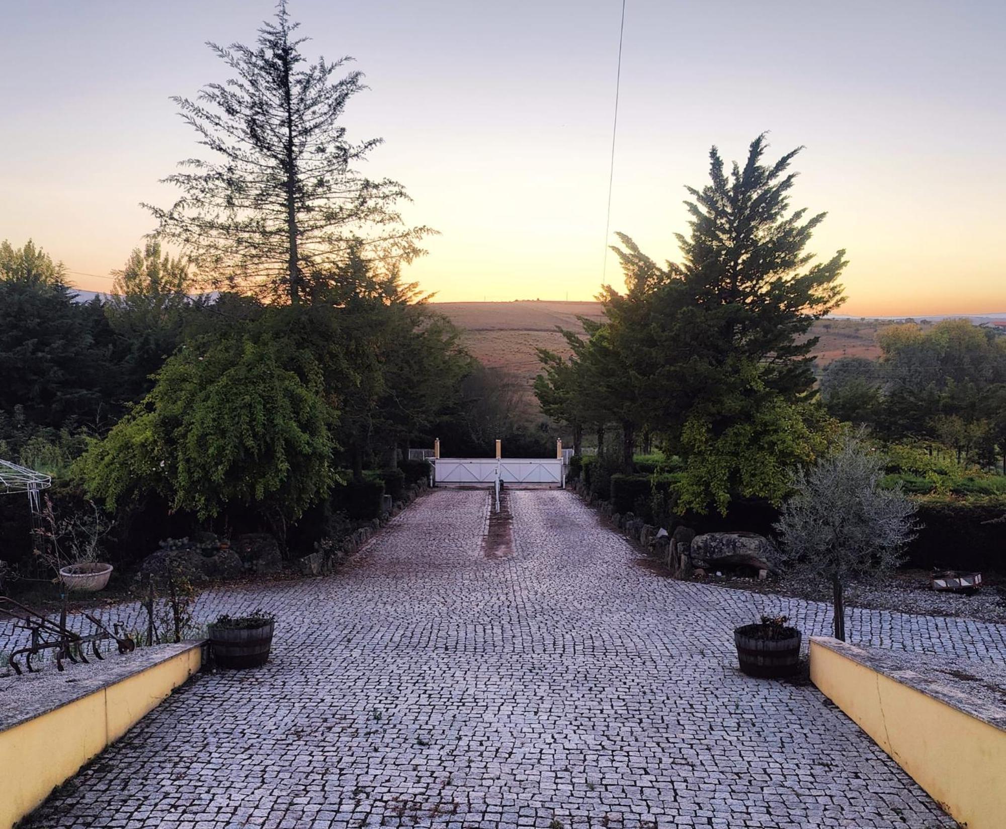 Quinta Da Libelinha Alojamento Local - Mirandela Eksteriør billede